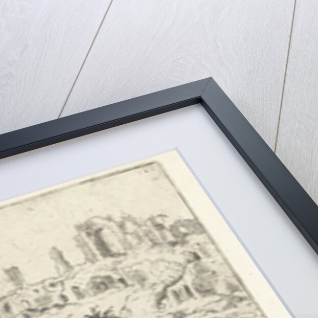 View of the Colosseum and the Palatine by Hieronymus Cock