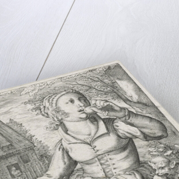 Taste Gustus, a woman with fruits by Hendrick Hondius I