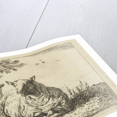 Sheep on a fence by Anonymous