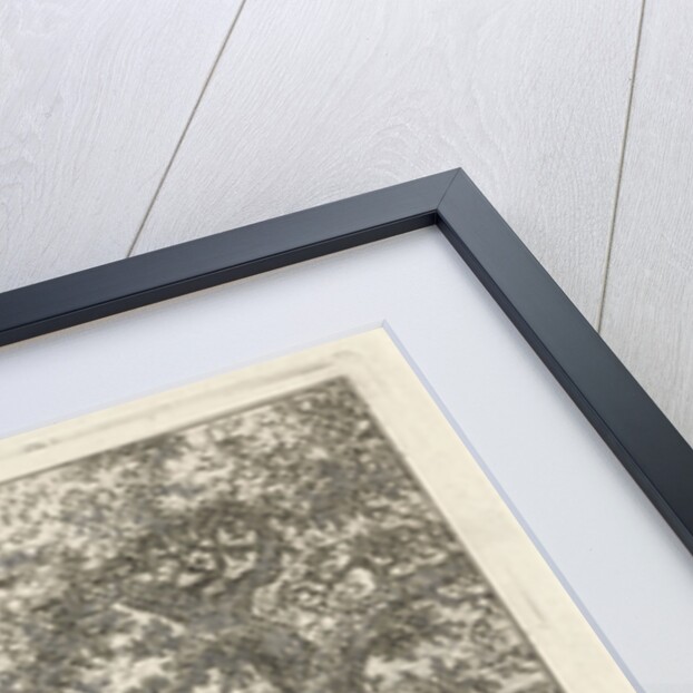 Wagon at ranch by Hermanus Fock