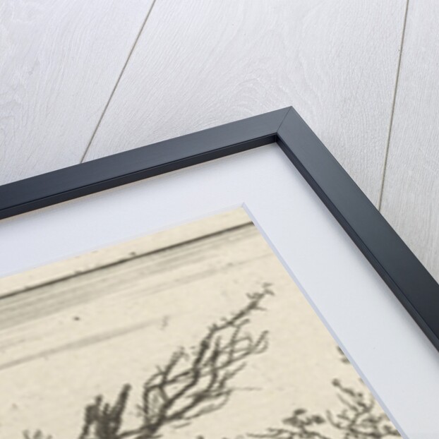 A view on a large overhanging tree and a rowing boat where two men sit by Hermanus Fock