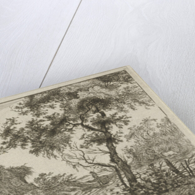 Dune landscape with a large tree by Hermanus Fock