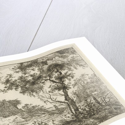 Dune landscape with a large tree by Hermanus Fock