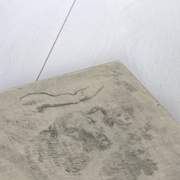 Study Sheet with sheep by Hermanus Fock