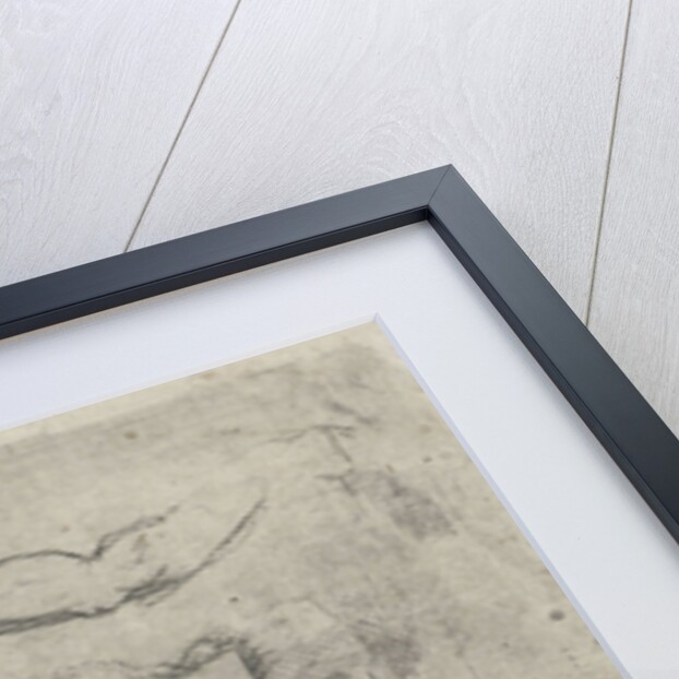 Study Sheet with sheep by Hermanus Fock