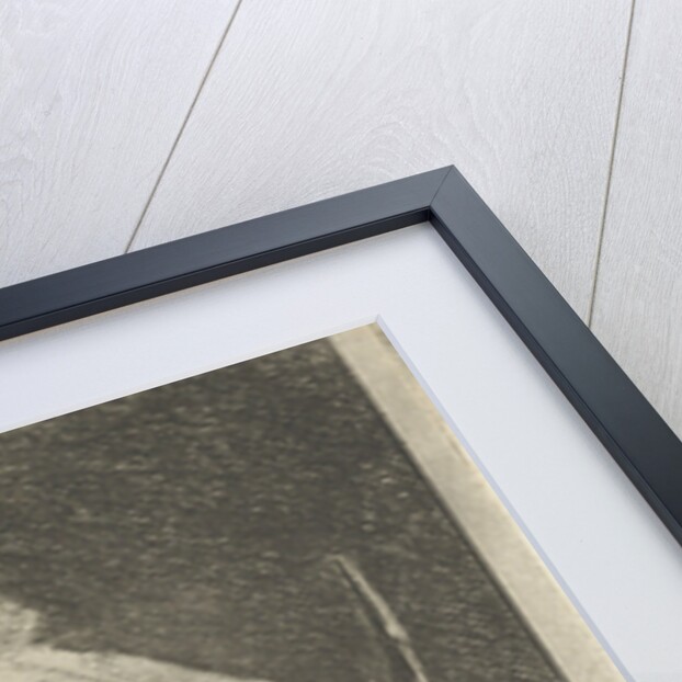 Head of a ram with twisted horns backward by Pieter Gaal