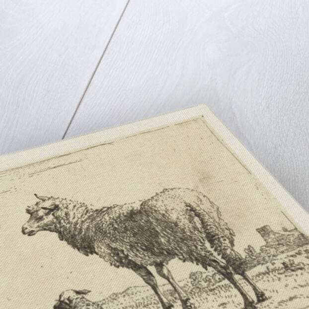 Ewe with lamb by Karel Dujardin