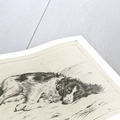 Sleeping dog by Hendrik Godart de Marée