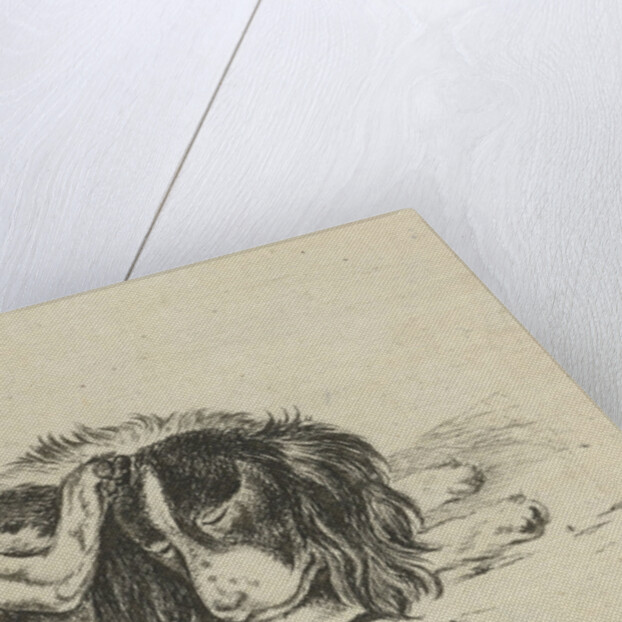 Lying dog by Hendrik Godart de Marée