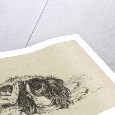 Lying dog by Hendrik Godart de Marée