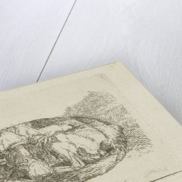 Sleeping dog by Jan Dasveldt