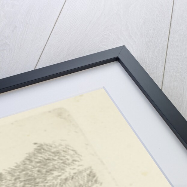 Sleeping dog by Jan Dasveldt