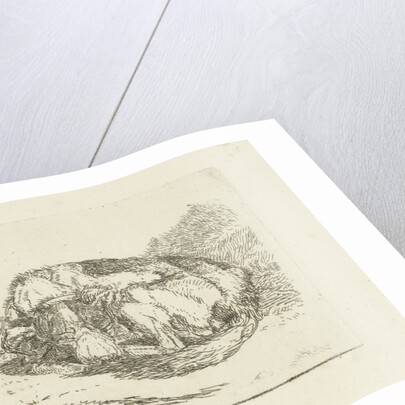 Sleeping dog by Jan Dasveldt