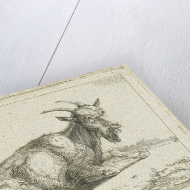 Goat by Jan Dasveldt