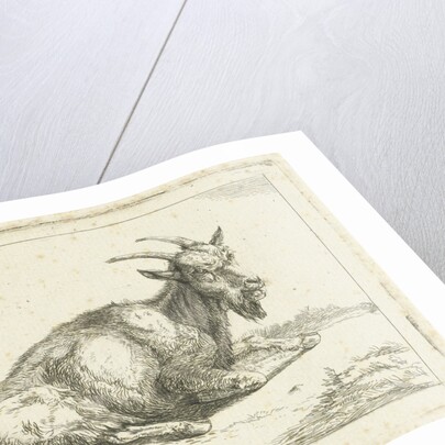 Goat by Jan Dasveldt