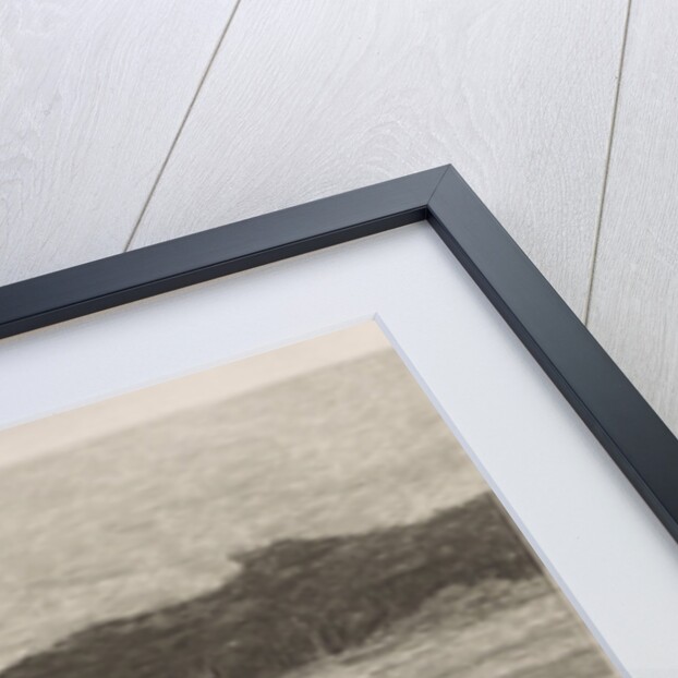 Shepherd by Anton Mauve