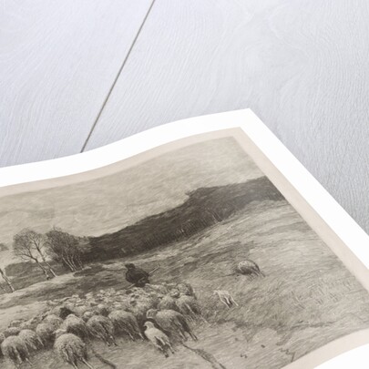 Shepherd by Anton Mauve