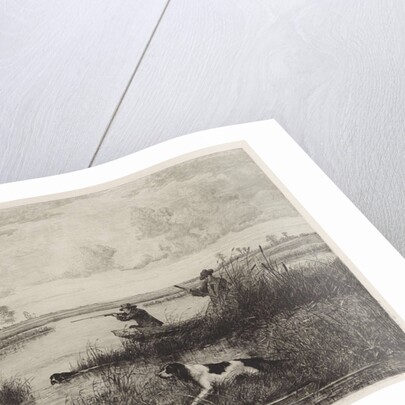 Duck Hunt by Elias Stark