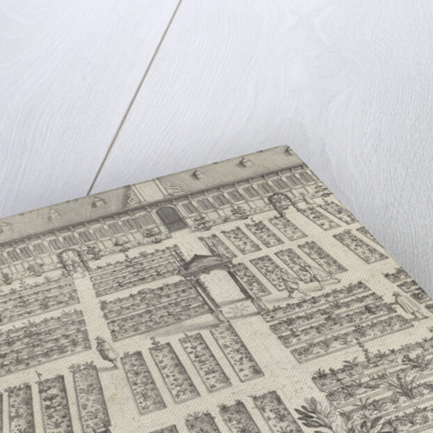 Hortus Botanicus of Leiden University by Claes Jansz. Visscher II