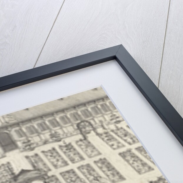 Hortus Botanicus of Leiden University by Claes Jansz. Visscher II