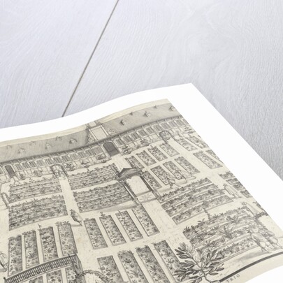 Hortus Botanicus of Leiden University by Claes Jansz. Visscher II