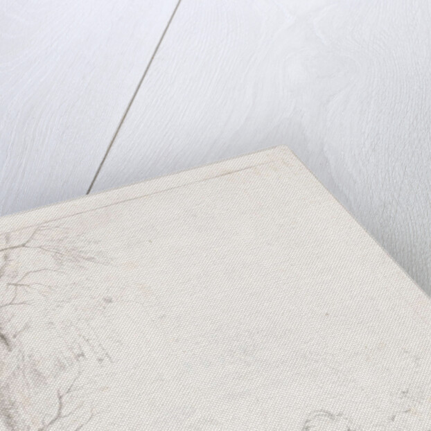 Cows, goats and sheep in a mountainous landscape with ruins by Diederik Jan Singendonck