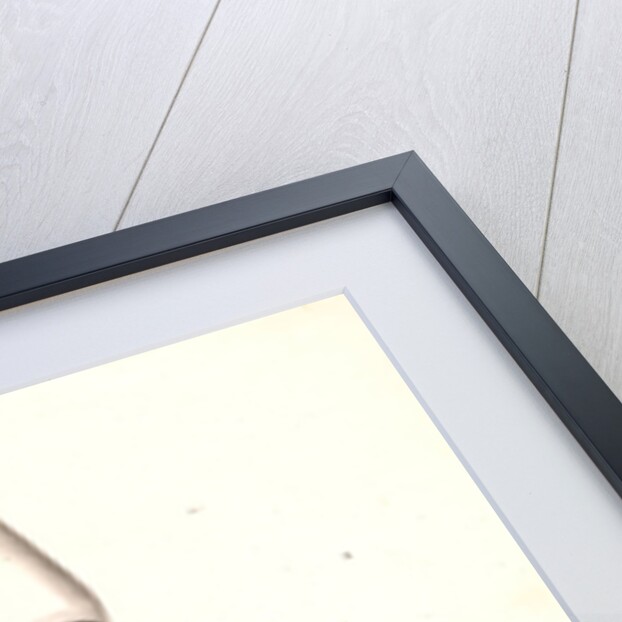 Kyslar agassy by Mahmud II