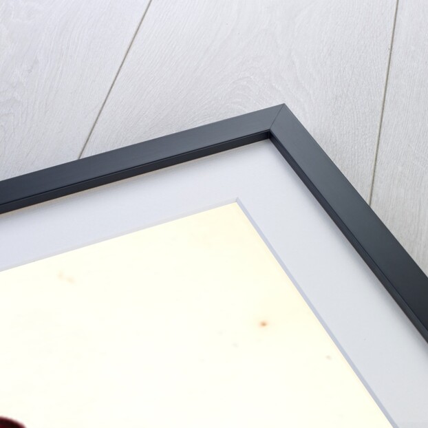 Czohadar-aga by Mahmud II