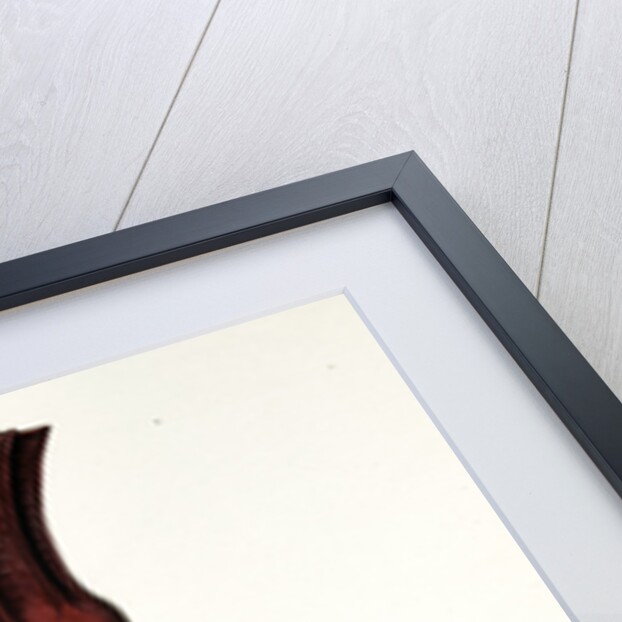 Silihtar aga, ou porte-épée du Grand Seigneur by Mahmud II