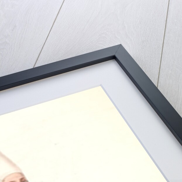 Capydjilar kehassy by Mahmud II