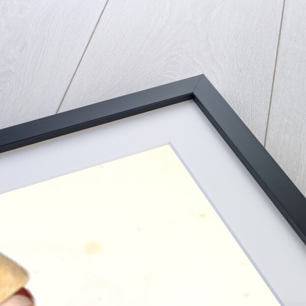 Yenitzery by Mahmud II