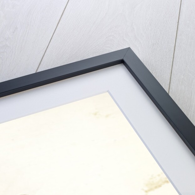 Dame de Pera by Anonymous