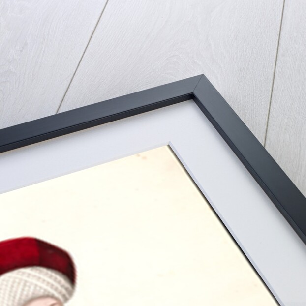 Reis effendi, ou ministre des affaires étrangères by Mahmud II