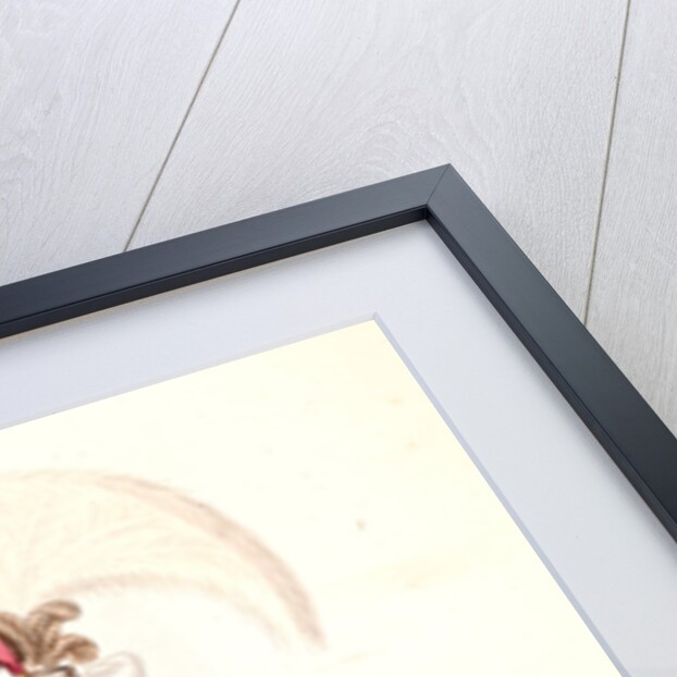 Prince de Moldavie, en habit de cérémonie by Mahmud II