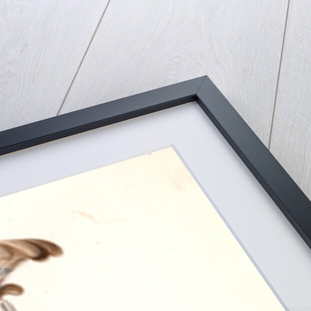 Tournadji-bachy by Mahmud II