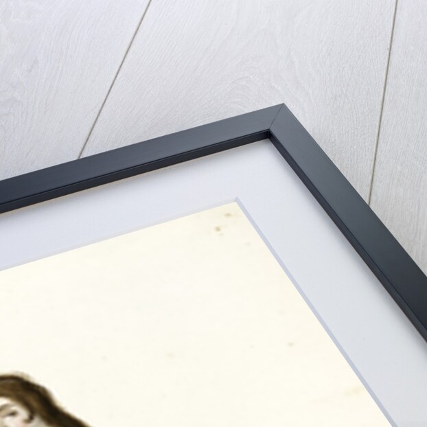 Sultane, soeur de Grand Turk by Mahmud II