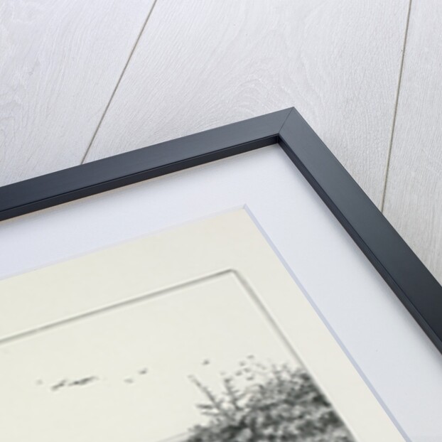 How the work was done (Painting the Montana Grayling on the banks of the Gallatin River, Montana) by J. L. Petrie