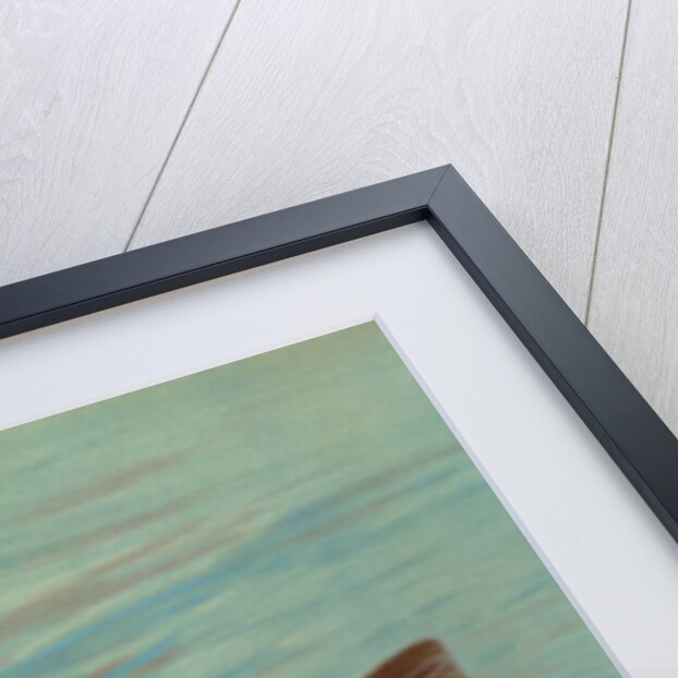 The Red Drum or Channel Bass, Scioena ocellata by J. L. Petrie