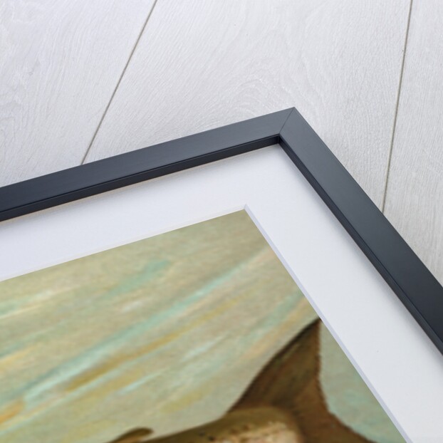 The Ouananiche or Winninish, Salmo salar ouananiche by J. L. Petrie