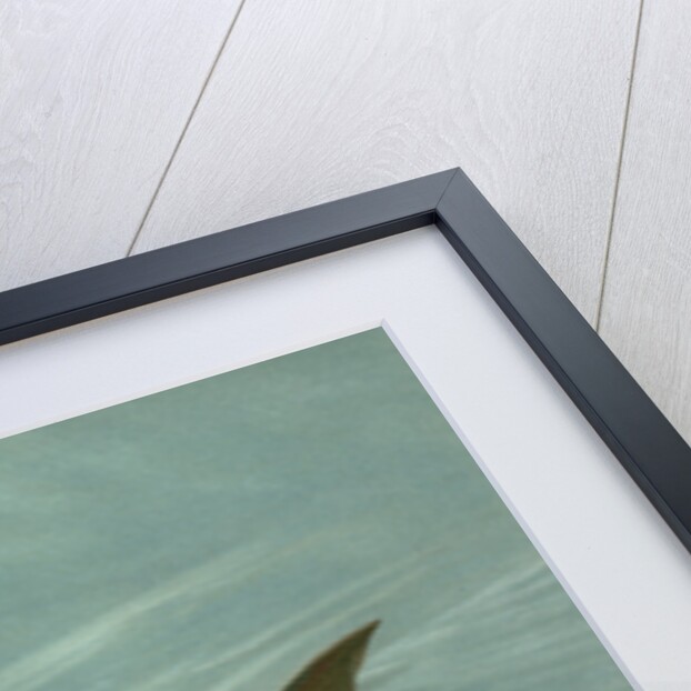 The Unspotted Mascalonge of Wisconsin, Lucius masquinongy by J. L. Petrie