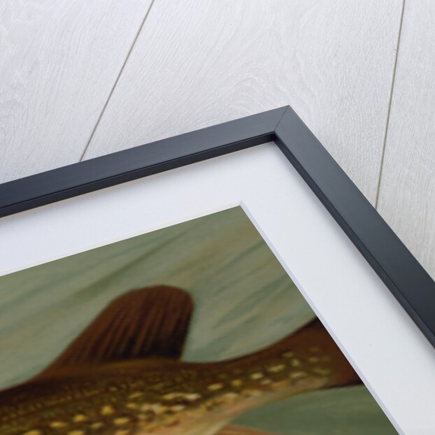 The Eastern Pond Pickerel by J. L. Petrie