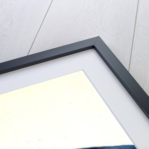 Snipe, or Trumpet-fish, Centriscus Scolopax by E. Donovan