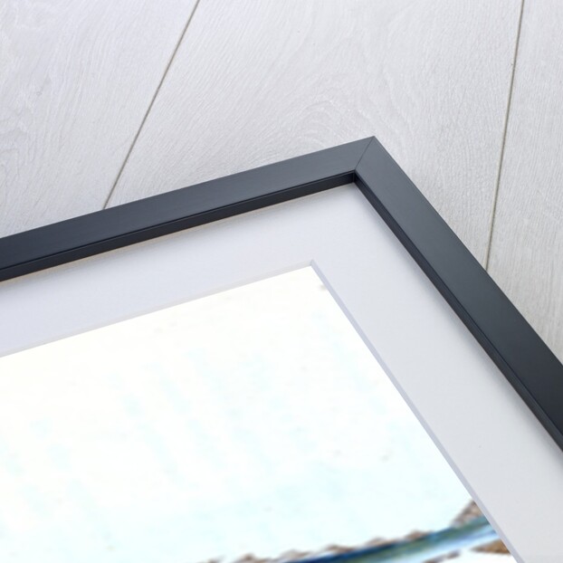 Saury, or Skipper Pike, Esox saurus by E. Donovan