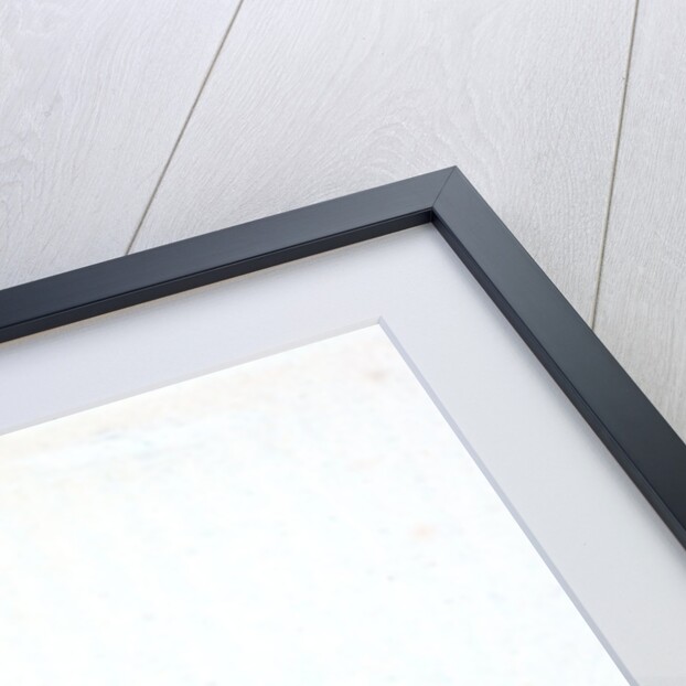 Black Goby, Gobius niger by E. Donovan