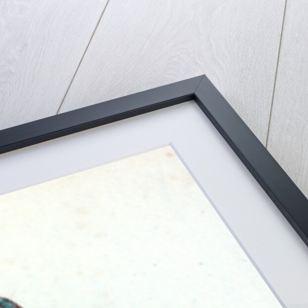 Fifteen-spined Stickleback, Gasterosteus spinachia by E. Donovan