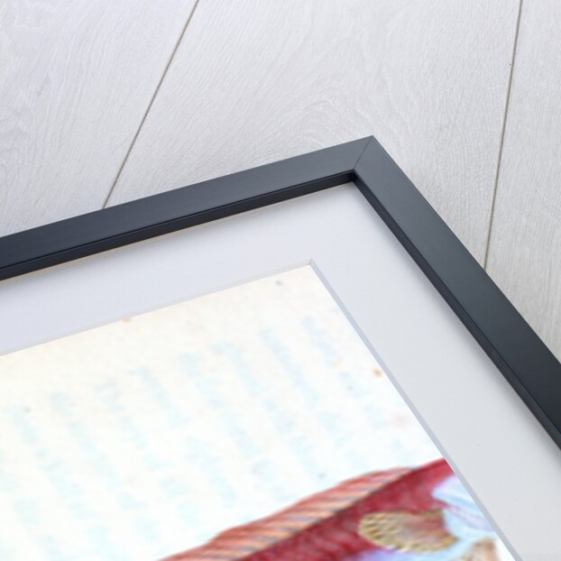 Rubescent Band-fish, Cepola rubescens by E. Donovan