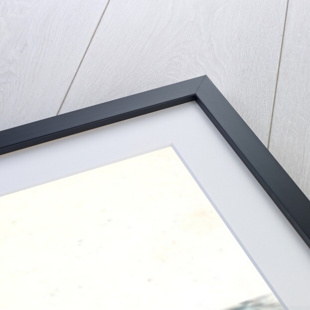 Minow, Cyprinus phoxinus by E. Donovan