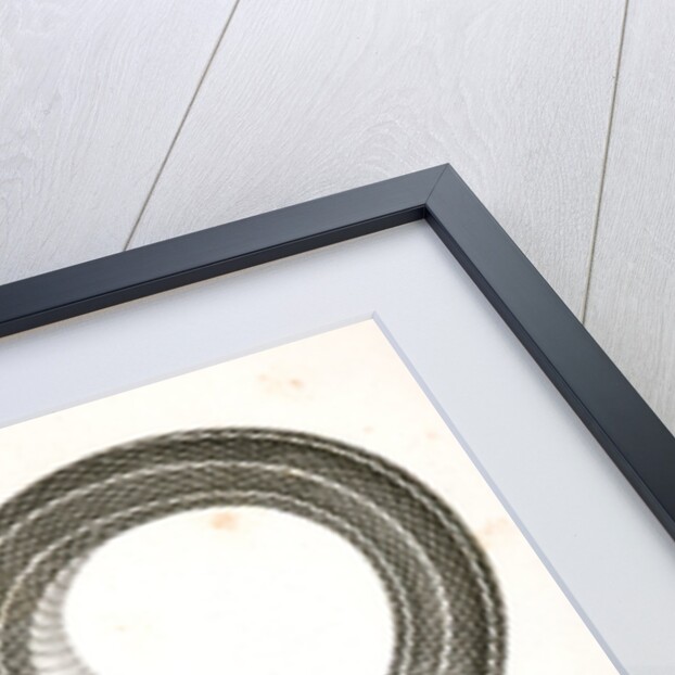 Eutania faireyi, Fairey's Garter Snake by George Suckley