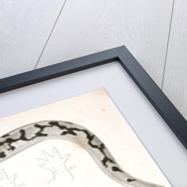 Untitled by George Suckley