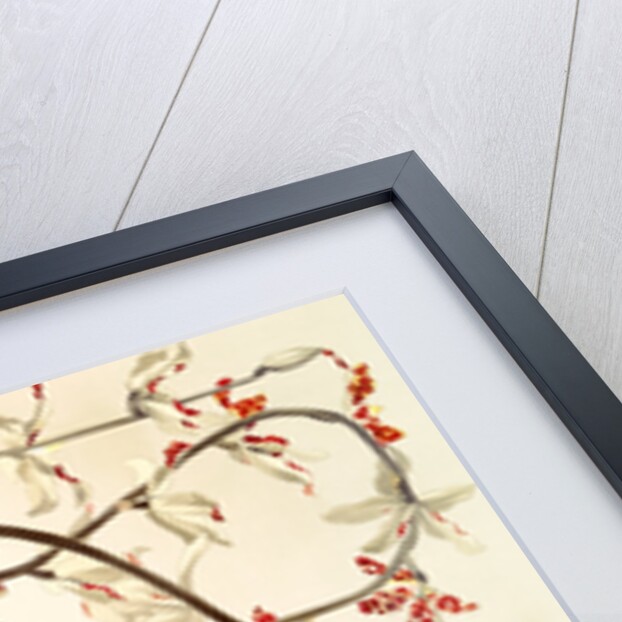 Renanthera lowii by F. Sander